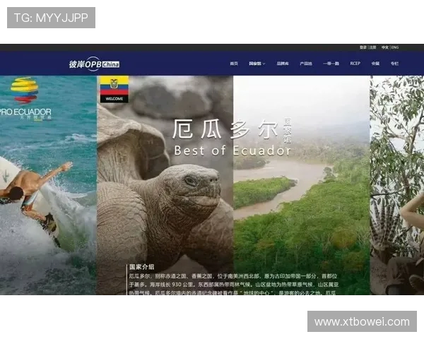 厄瓜多尔与韩国2019年友谊赛精彩回顾与战术分析