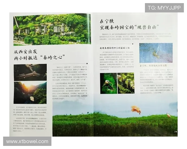 独家解析：WE意识形态的异同与影响力深度对比分析